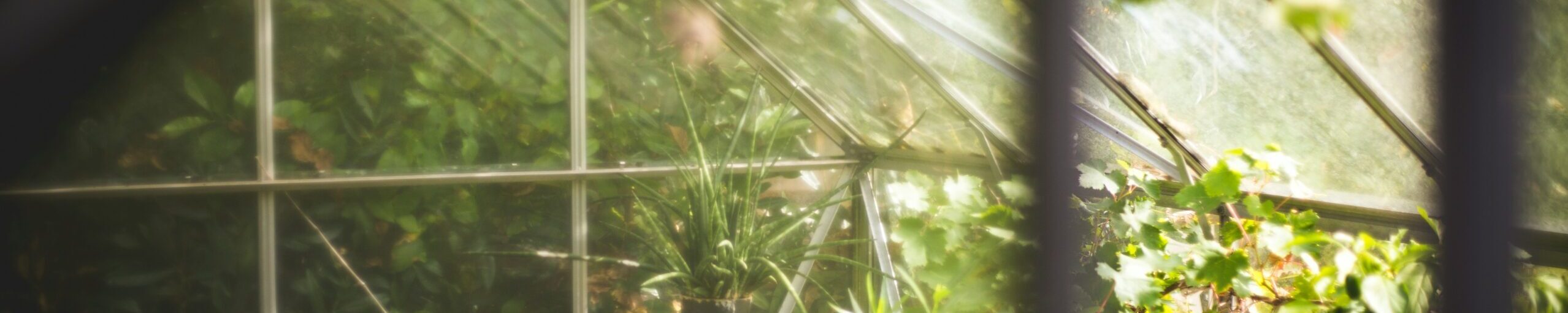 Seefam – Dein Ratgeber für Garten & Gewächshäuser